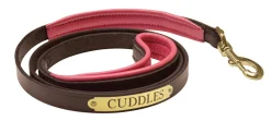 Perri’s® Padded Leather Nameplate Dog Leash