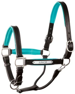 Perri’s® Padded Leather Pony Halter with Nameplate
