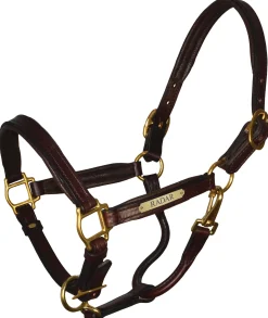 Perri’s® Padded Leather Pony Halter with Nameplate