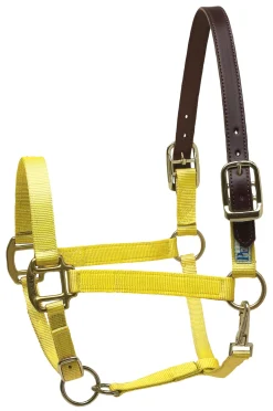 Perri’s® Premium Nylon Breakaway Halter
