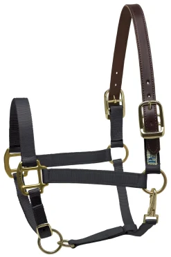 Perri’s® Premium Nylon Breakaway Halter