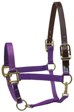 Perri’s® Premium Nylon Breakaway Halter