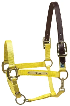 Perri’s® Premium Nylon Safety Halter with Nameplate