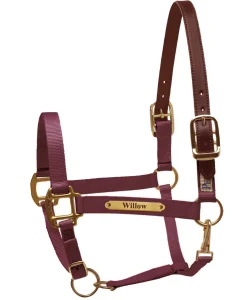 Perri’s® Premium Nylon Safety Halter with Nameplate