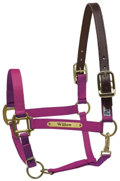 Perri’s® Premium Nylon Safety Halter with Nameplate