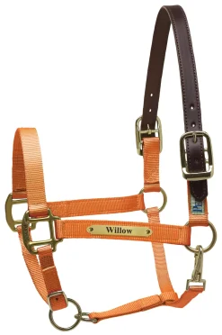 Perri’s® Premium Nylon Safety Halter with Nameplate