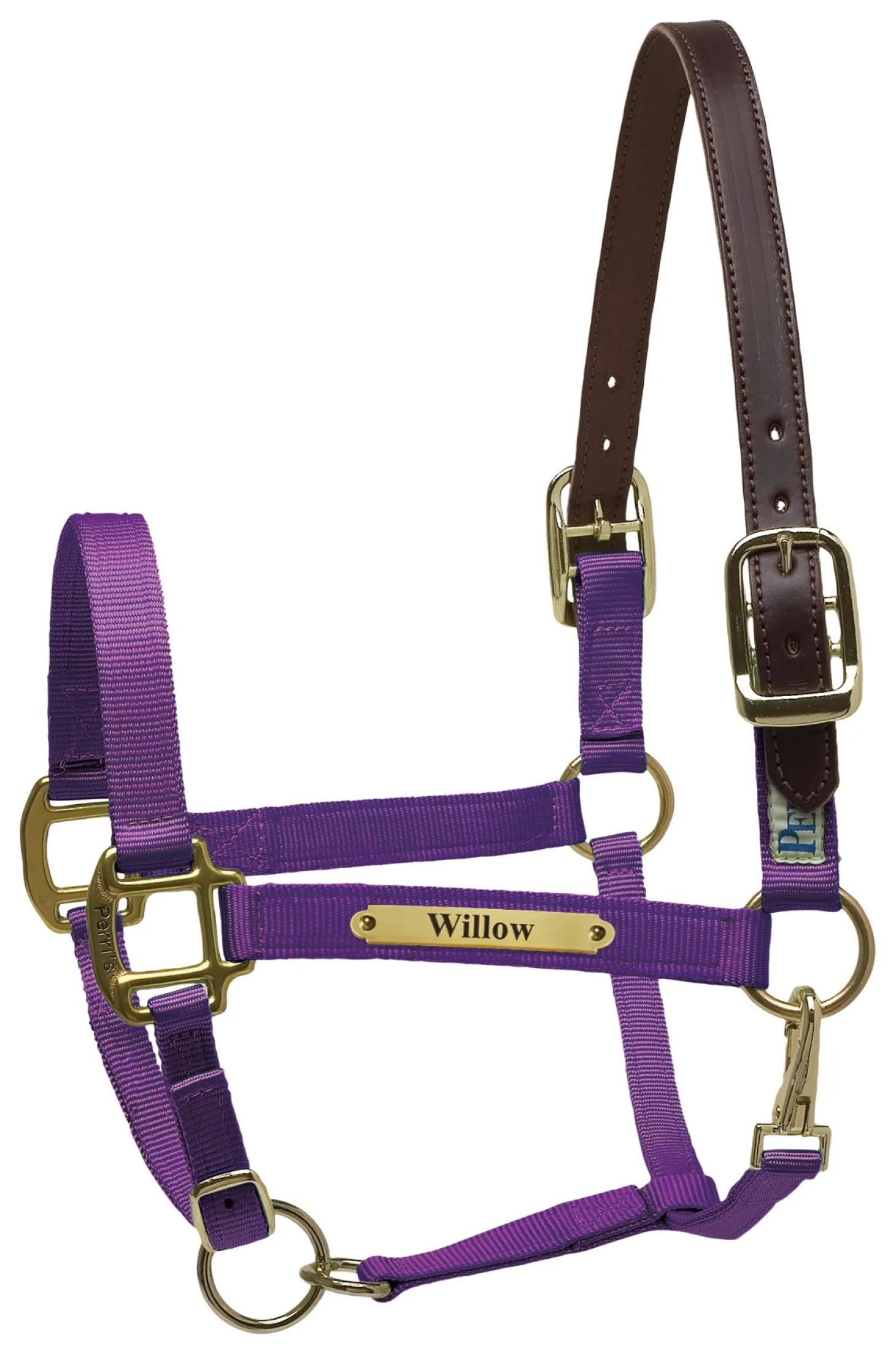 Perri’s® Premium Nylon Safety Halter with Nameplate