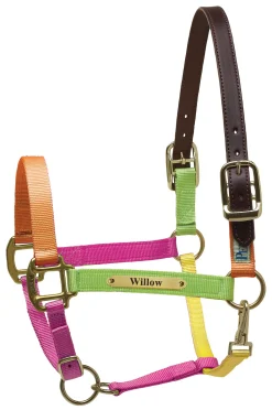 Perri’s® Premium Nylon Safety Halter with Nameplate