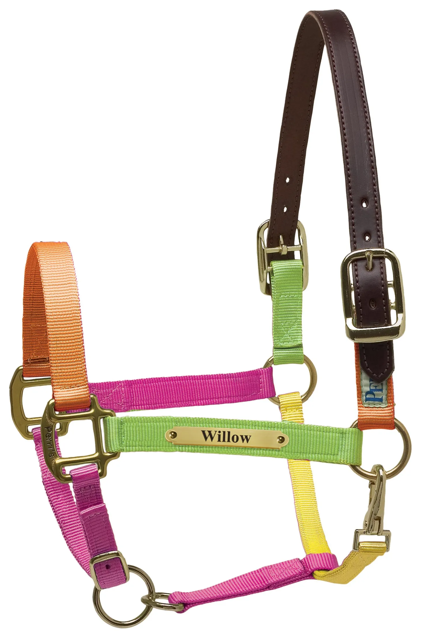 Perri’s® Premium Nylon Safety Halter with Nameplate