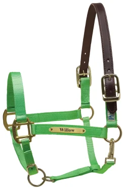 Perri’s® Premium Nylon Safety Halter with Nameplate