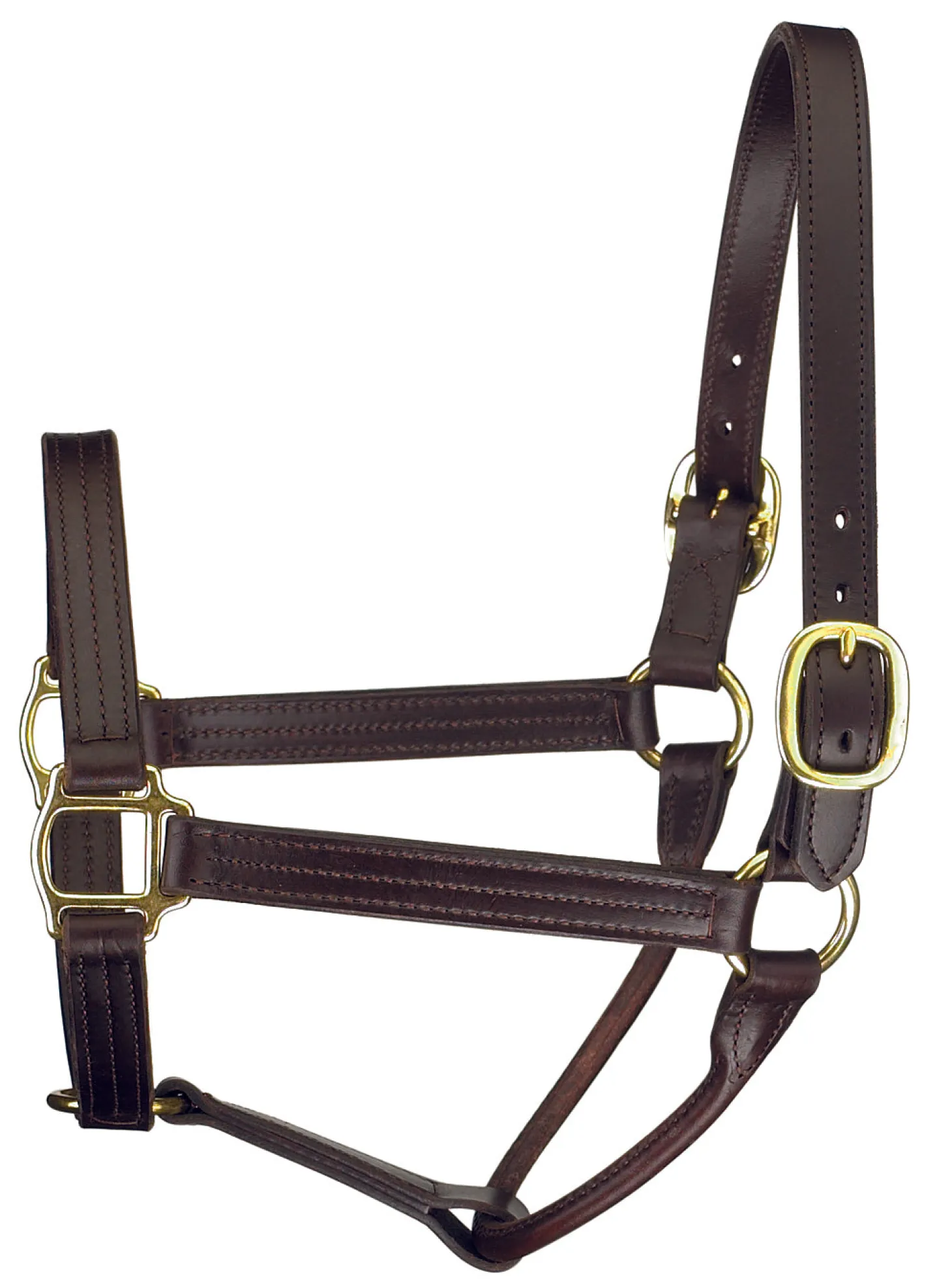 Perri’s® Premium Track Style Show Halter