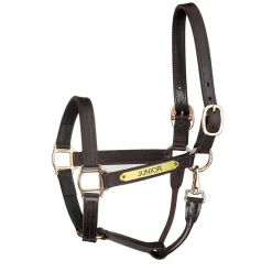 Perri’s® Premium Track Style Leather Show Halter with Snap & Nameplate