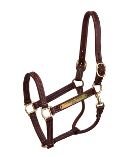 Perri’s® Professional Halter with Nameplate