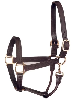 Perri’s® Track Style Show Halter with Snap Throat