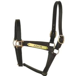 Perri’s® Track Style Turnout Halter with Snap