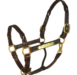 Perri’s® Twisted Leather Halter with Nameplate