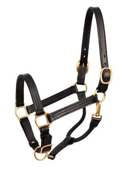 Perri’s® Premium Leather Show Halter
