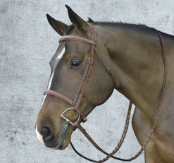 Pessoa® Pro Fancy-Stitched Raised Bridle