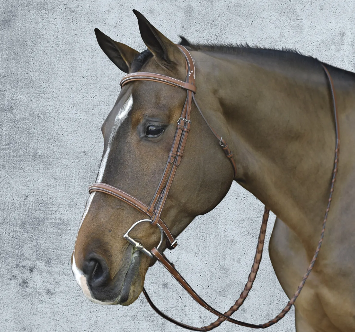 Pessoa® Pro Fancy-Stitched Raised Bridle