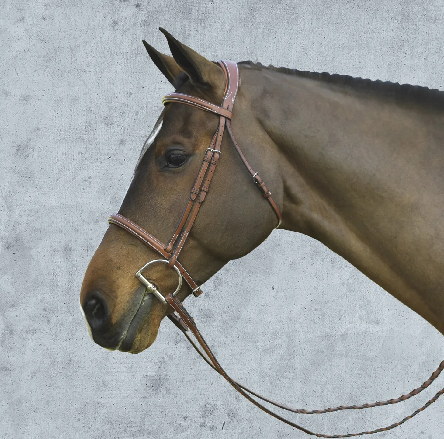 Pessoa® Pro Fancy-Stitched Raised Bridle