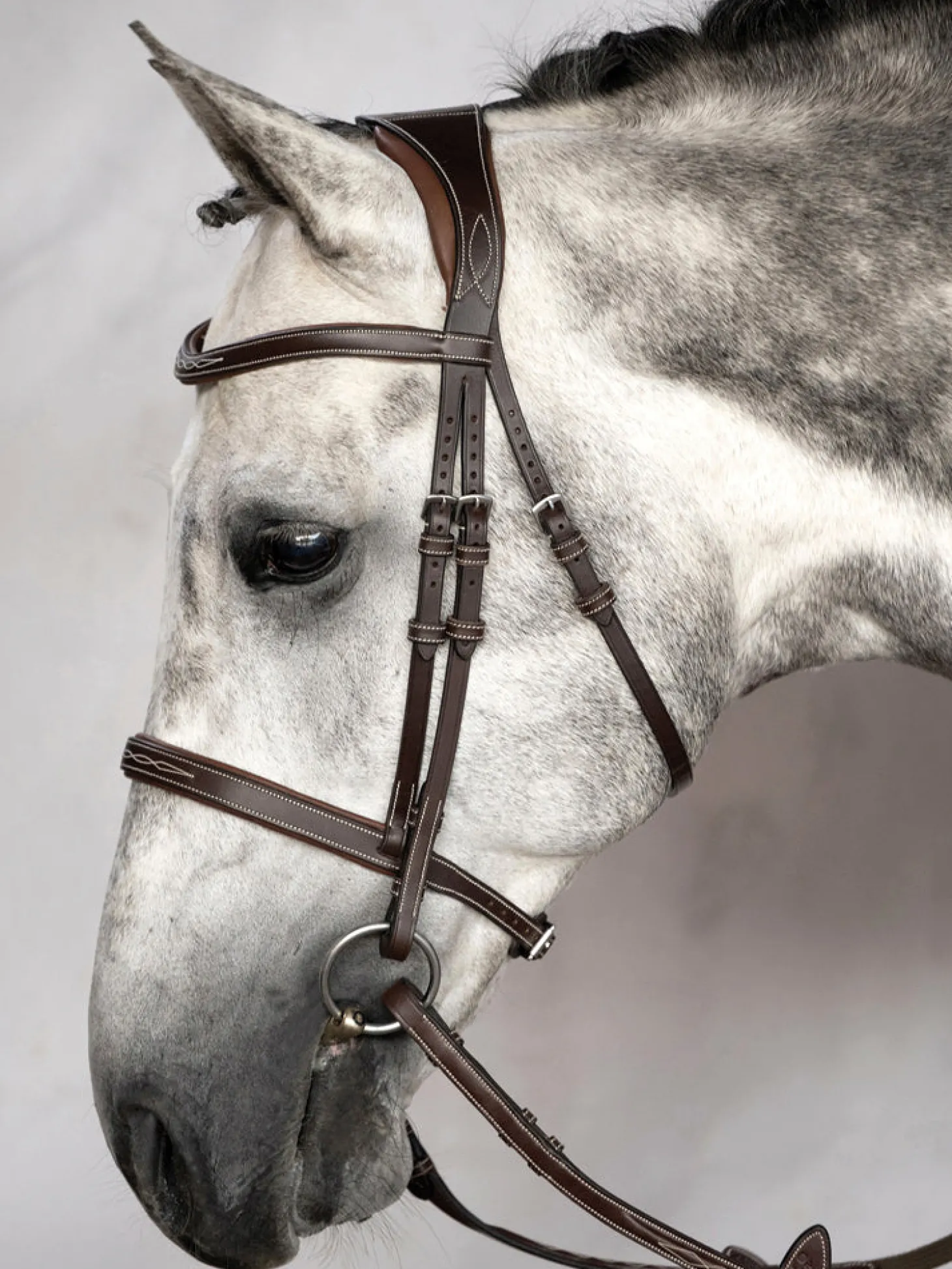 PS of Sweden Ocala Hunter Bridle