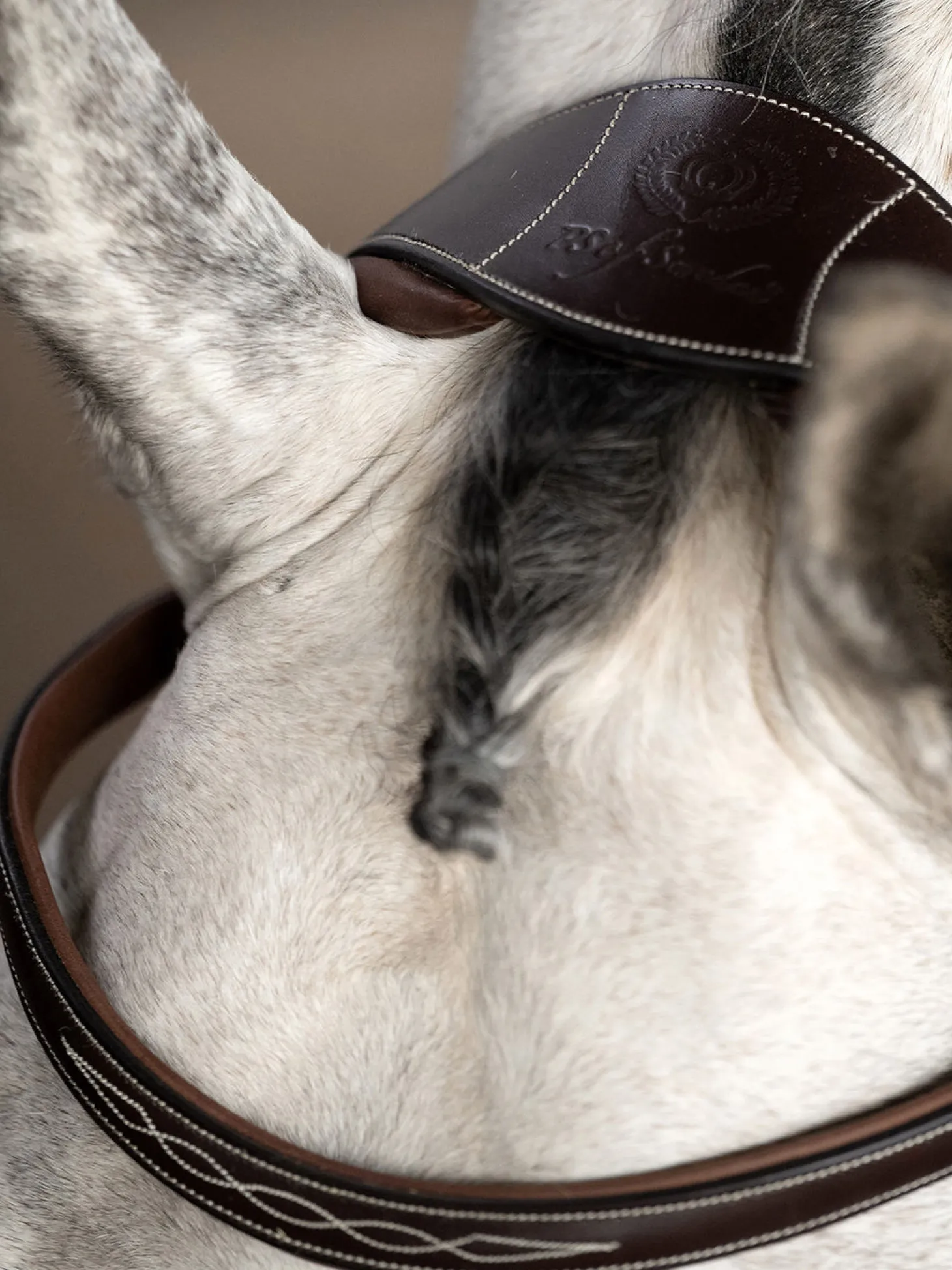 PS of Sweden Ocala Hunter Bridle