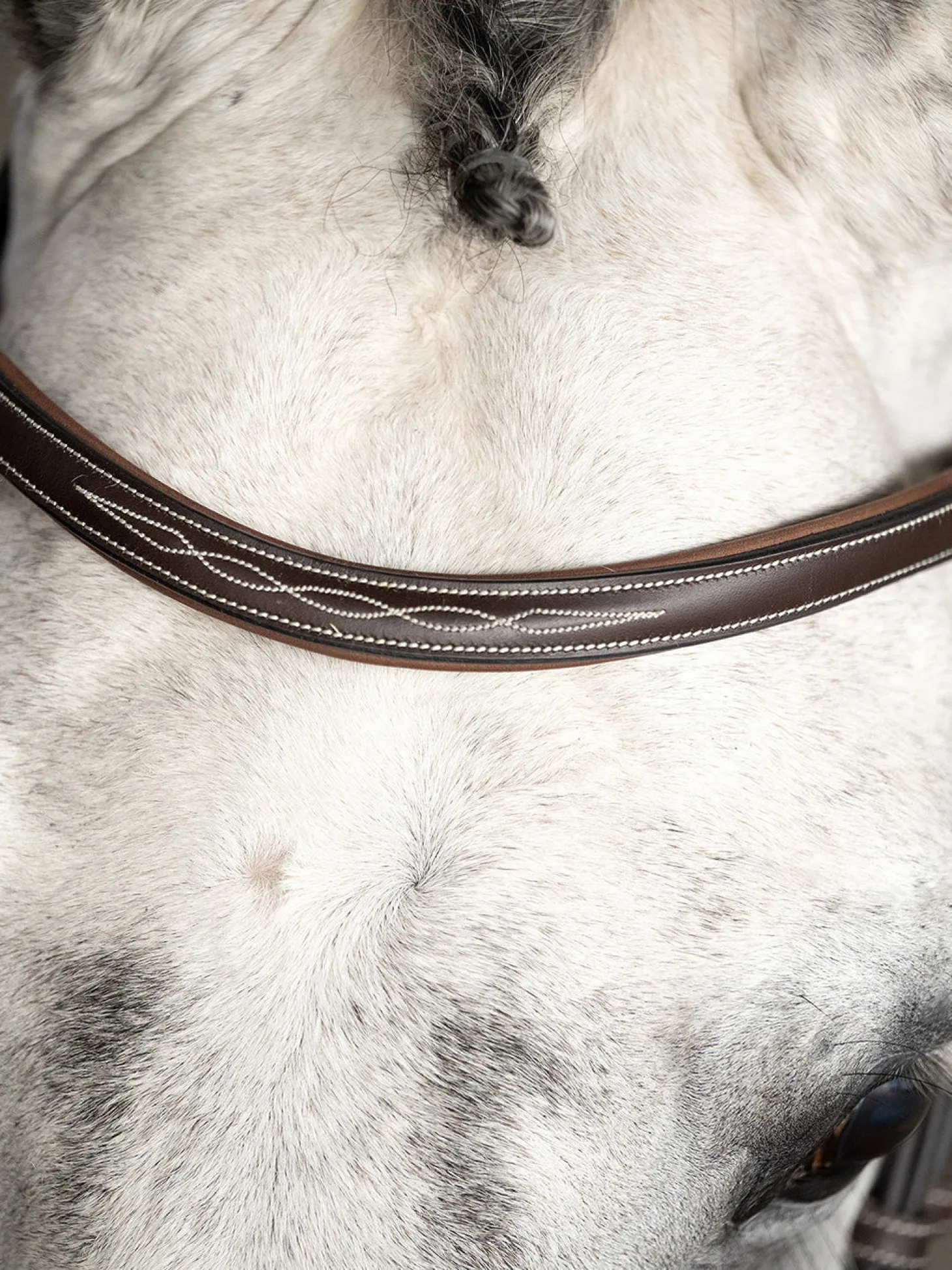 PS of Sweden Ocala Hunter Bridle