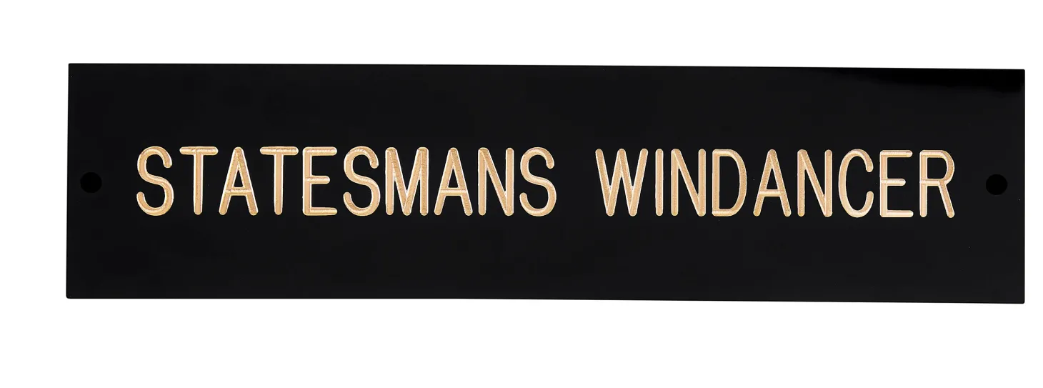 Rectangular Black & Brass Stall Plate - 1 or 2 lines