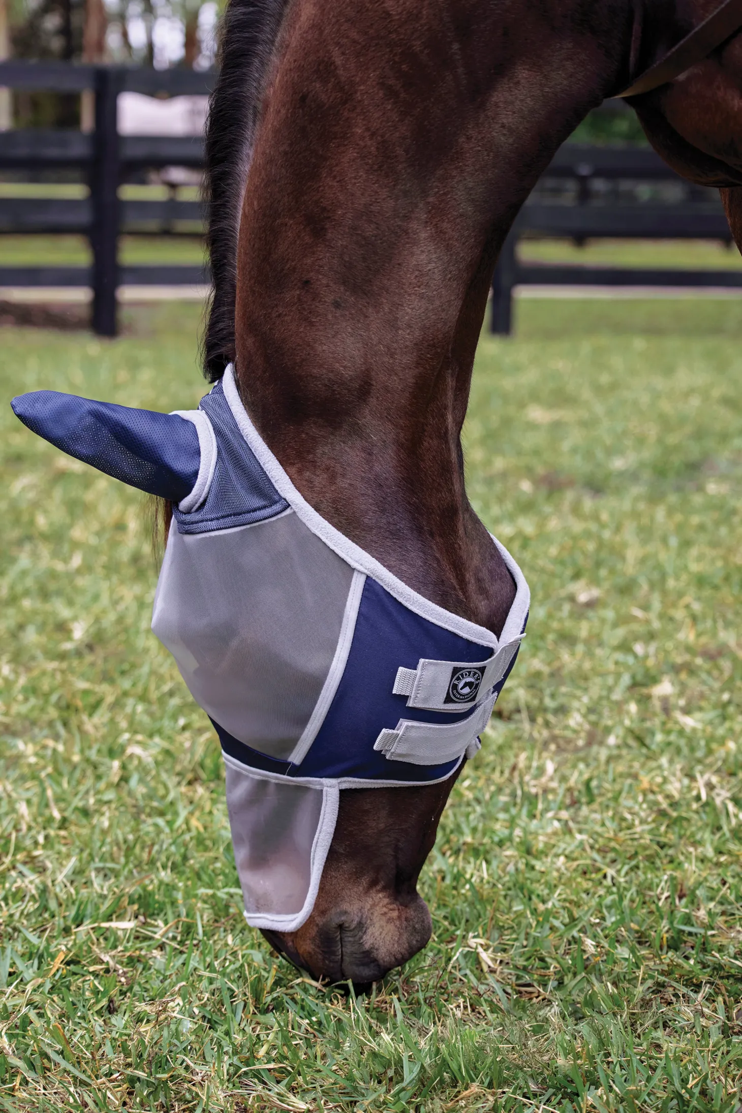 Rider's International™ Fine Mesh Fly Mask with Ears & Nose
