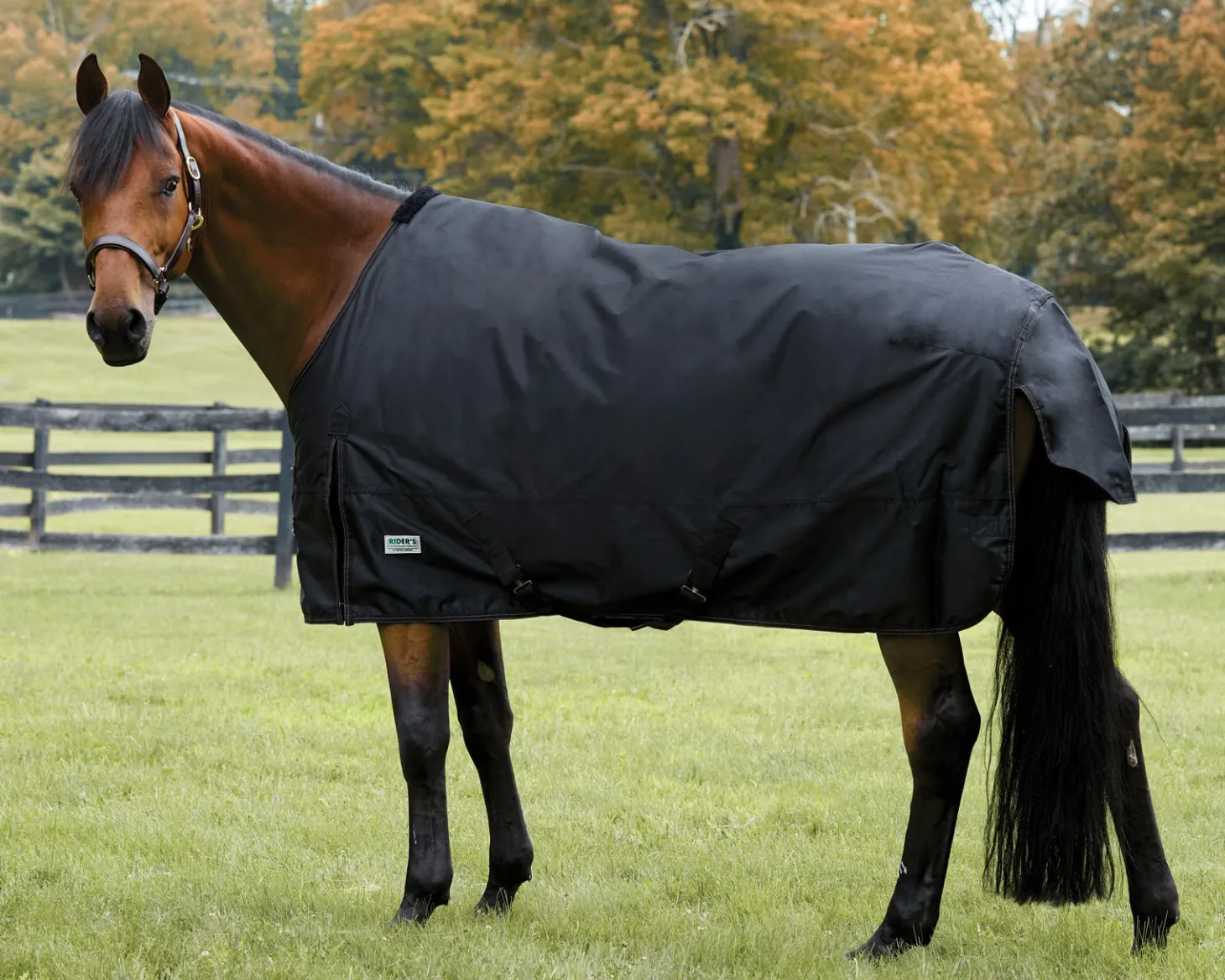 Rider’s International™ Heavyweight Turnout Blanket