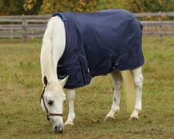 Rider’s International™ Pony Turnout Sheet