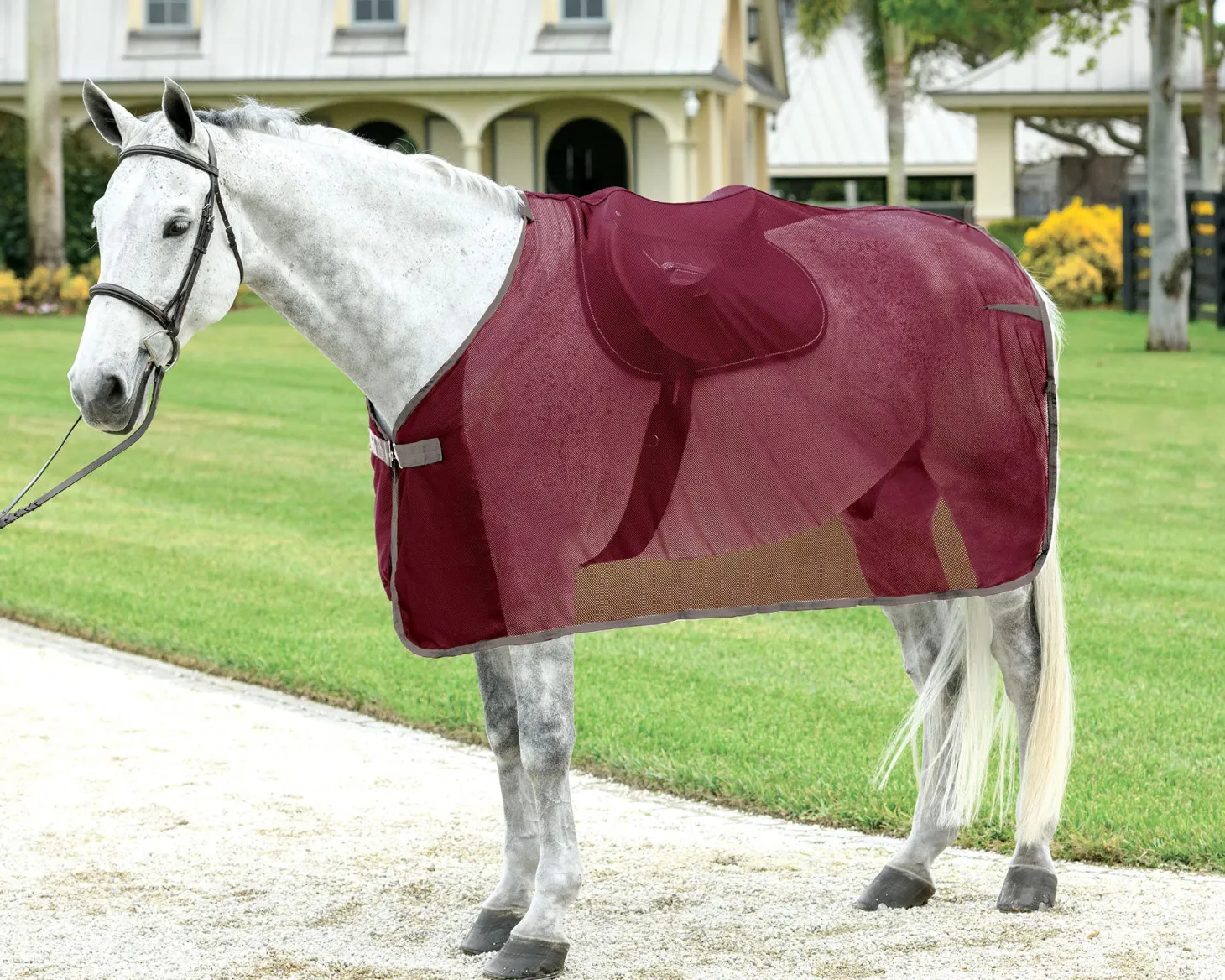 Rider’s International™ Ringside Scrim Sheet