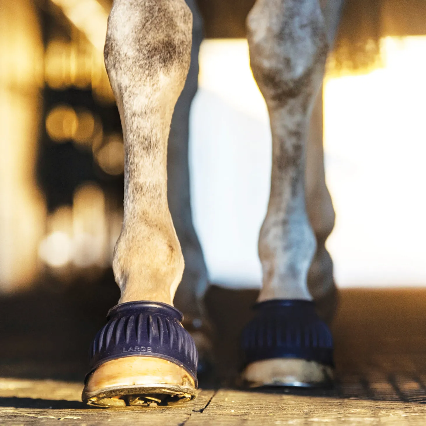 Rider's International™ Rubber Hook-and-Loop Bell Boots