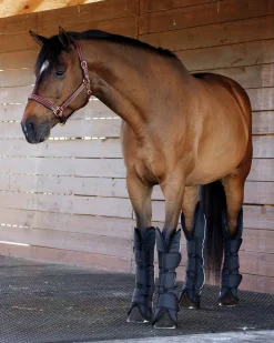 Rider’s International™ Shipping Boot Set