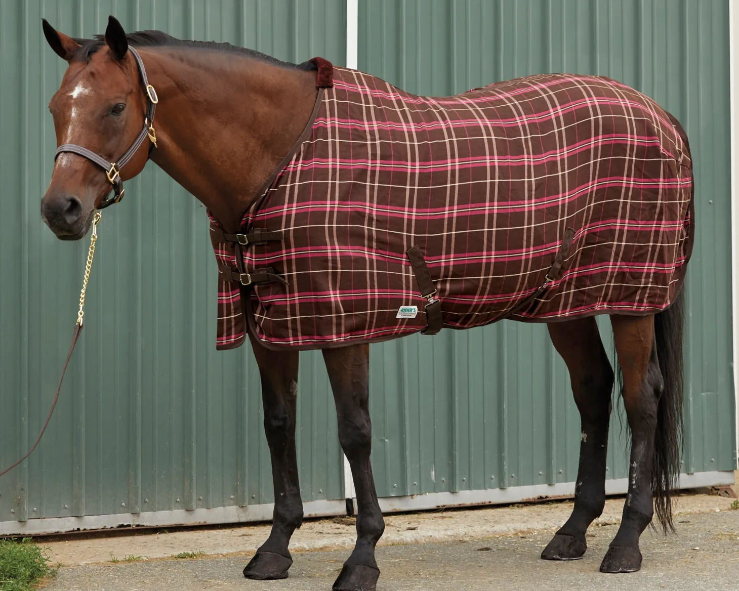 Rider’s International™ Stable Sheet