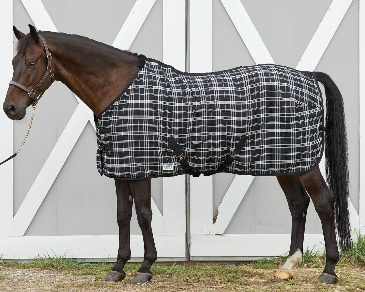 Rider’s International™ Stable Sheet