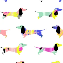 R.J. Classics Girls’ Brynn Jr. Short Sleeve Show Shirt