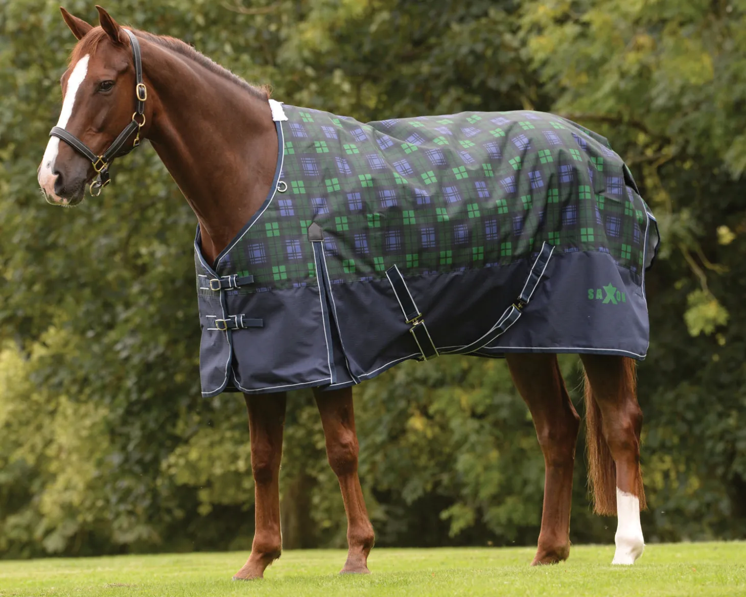 Saxon 1200D Medium-Weight Blanket with Gussets & Standard Neck II