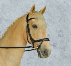 Schockemöhle Equitus Alpha Bridle