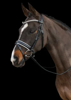 Schockemöhle Malaga Bridle