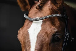 Schockemöhle Malaga Bridle