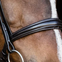 Schockemöhle Monza Bridle