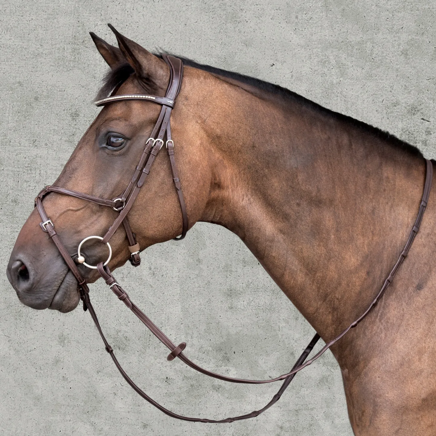 Schockemöhle Rio Select Anatomic Figure-8 Bridle