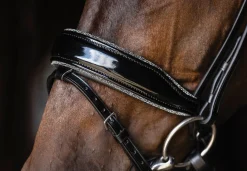 Schockemöhle Standford Glam Bridle