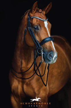 Schockemöhle Venice Double Bridle