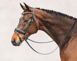 Schockemöhle Malibu Bridle