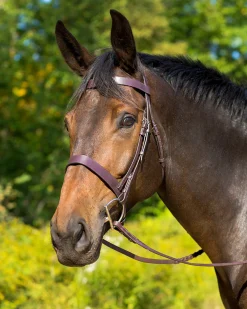 Shires Avignon Middleburg Hunt Bridle