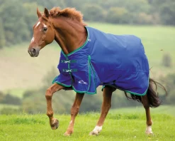Shires Highlander 200G Blanket