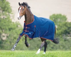Shires Highlander 300G Blanket