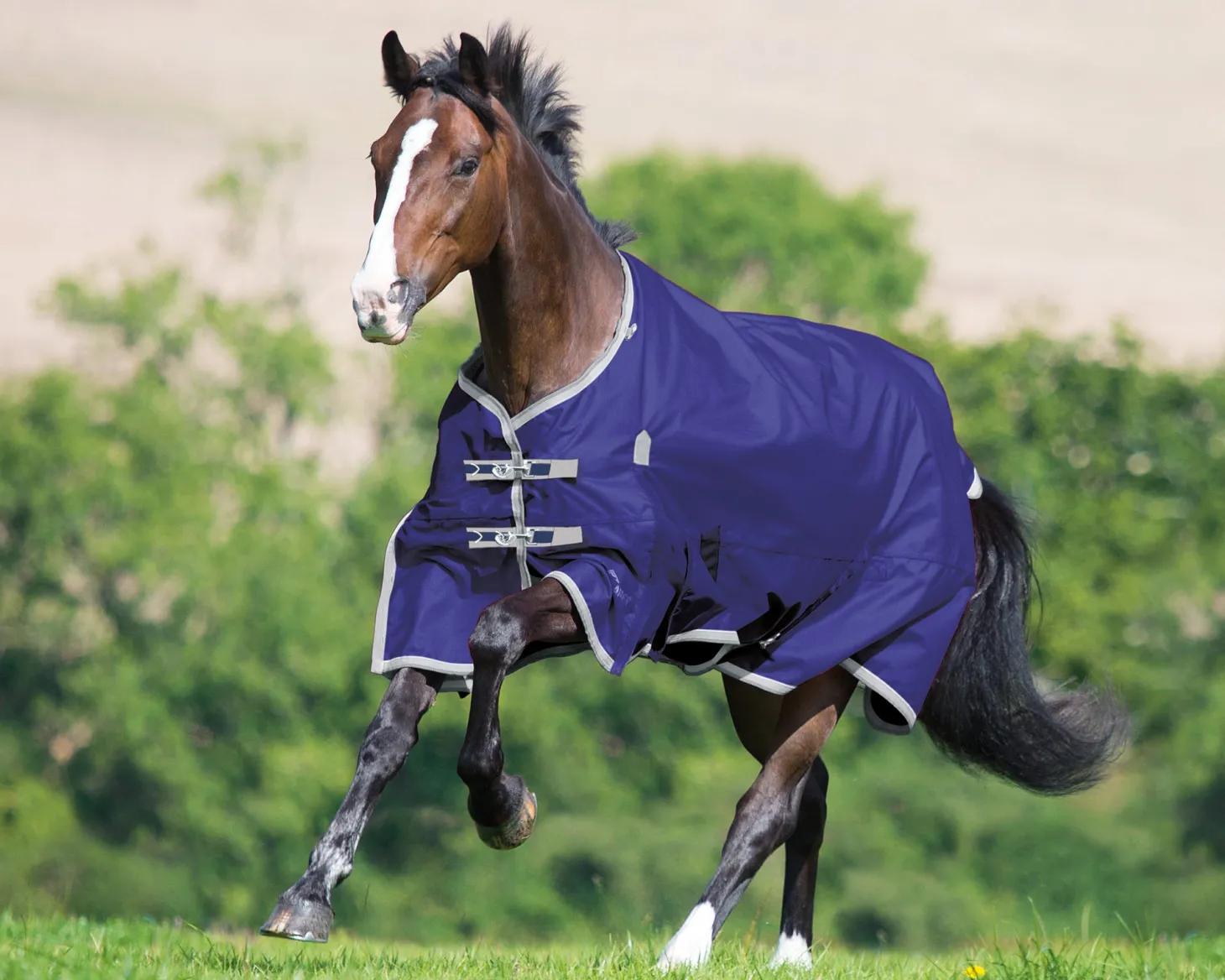 Shires Highlander Lite Turnout Sheet